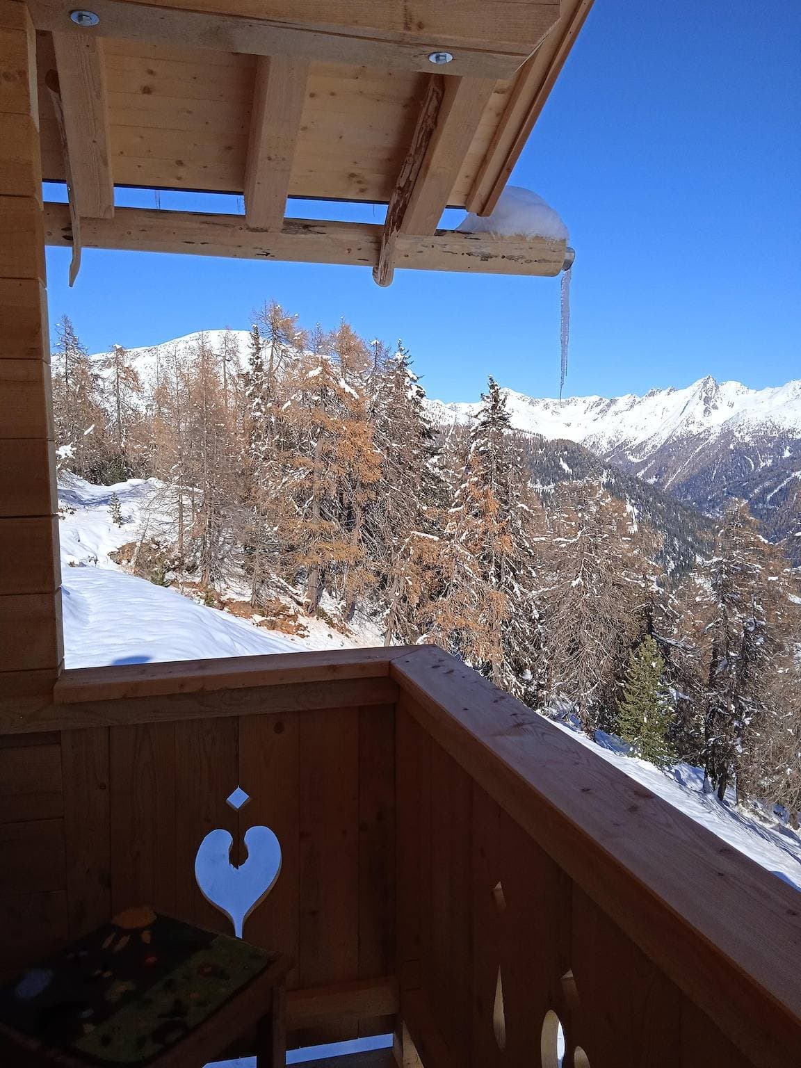 Foto 3 von 59: Ferienhaus/Alm Chalet