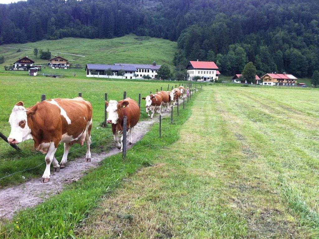 Foto 7 von 22: Ferienwohnung Erbhof Jachenau