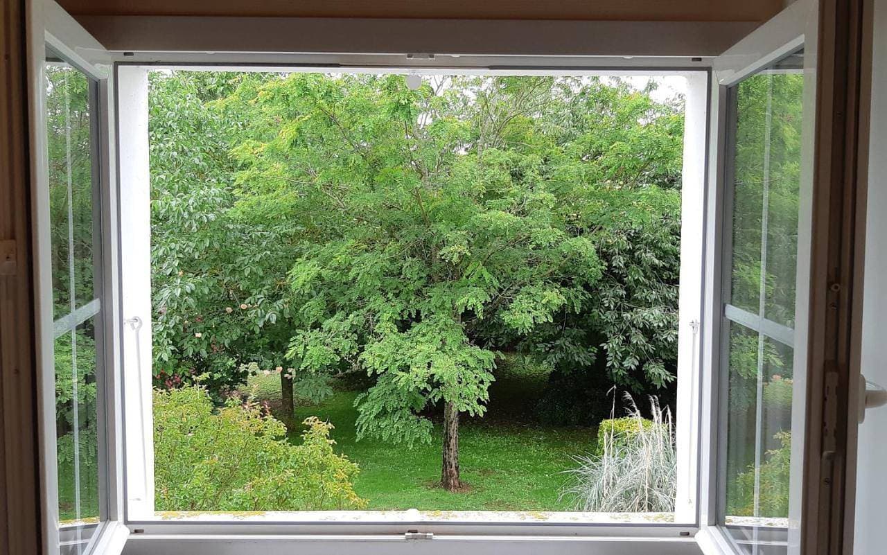 Foto 9 von 9: Double Room with Garden View