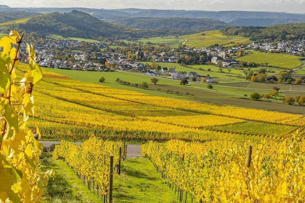 Foto 9 von 14: Ferienwohnung Secco - Weingut-Ferienwohnungen Lorenz - nur Urlaubsgäste