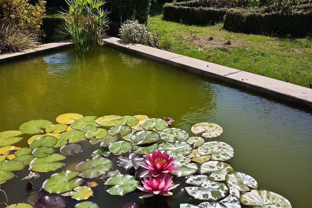 Foto 4 von 12: Maison Mitoyenne, Entrée Indépendante, Dans un Grand Jardin,