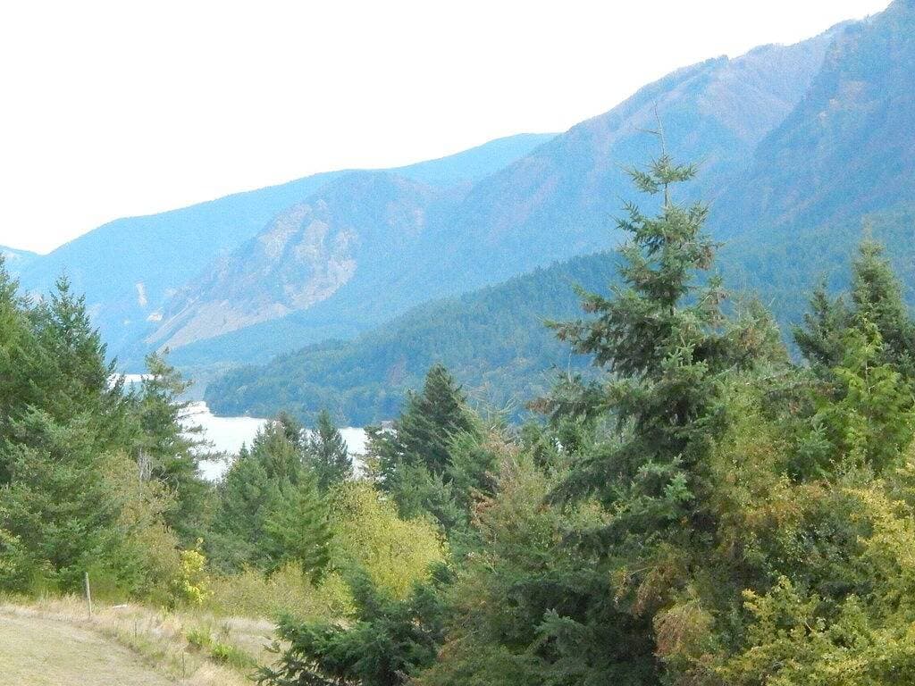 Foto 8 von 27: Mt Defiance Cabin mit Blick auf den Columbia River