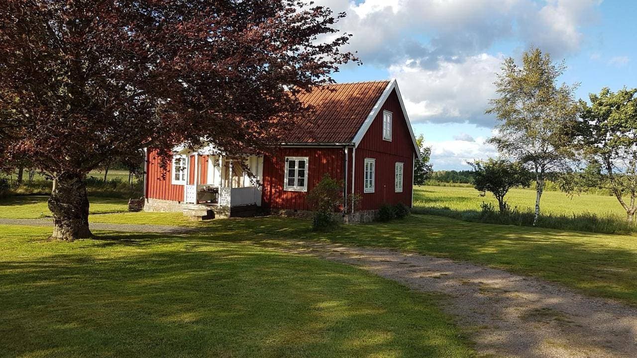 Skeens Nygård 1