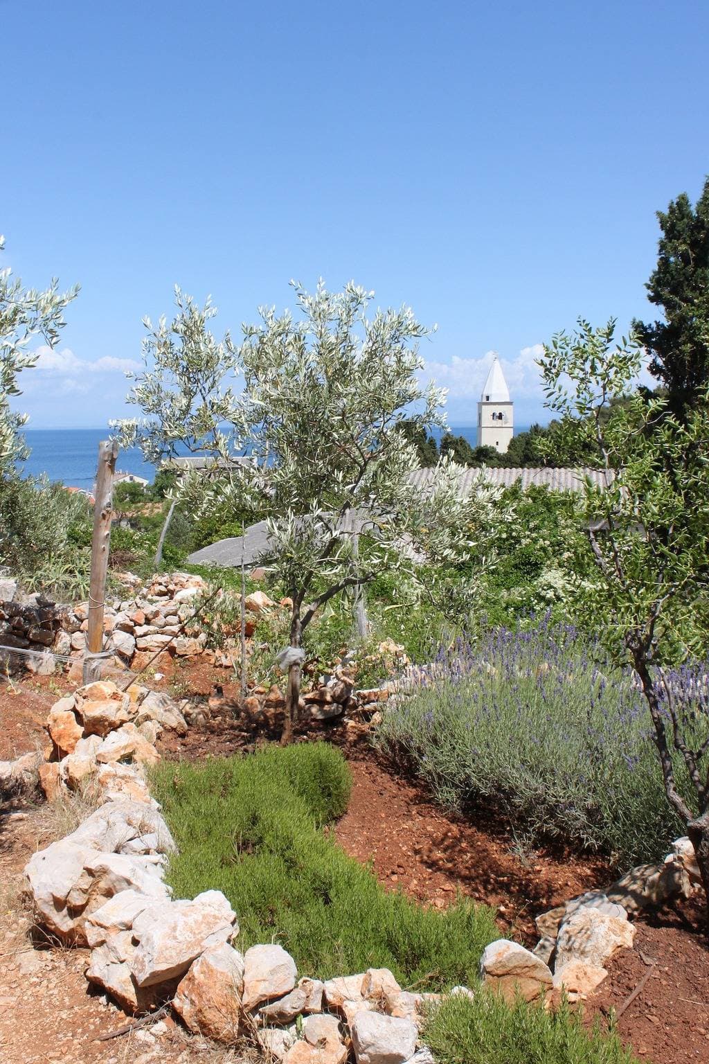 Foto 8 von 29: 1-Zimmer-Ferienwohnung mit Balkon und Meerblick Mali Losinj, Losinj A-7879-b