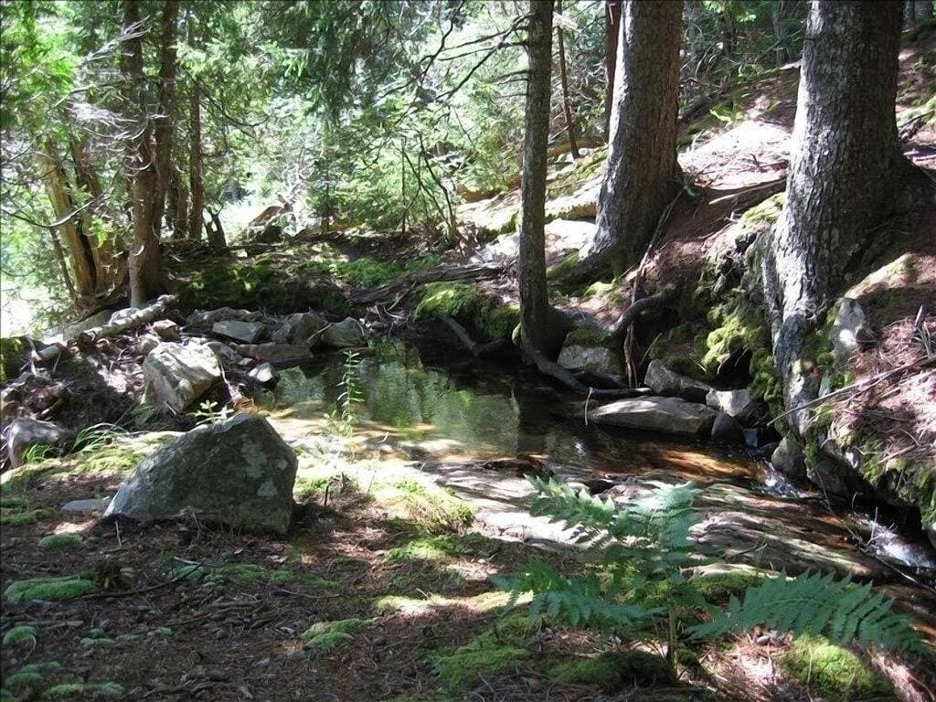 Foto 2 von 9: Einzigartige Cove Side Cabin auf Somes Sound neben Babbling Brook