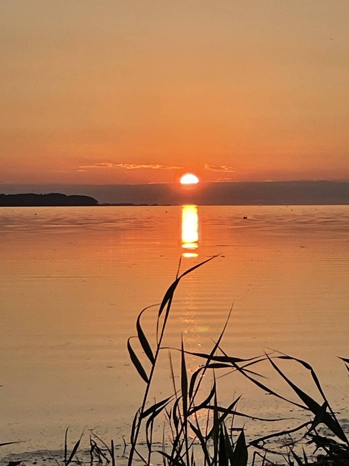 Foto 4 von 33: Charmantes Reetdachhaus nah am Wasser