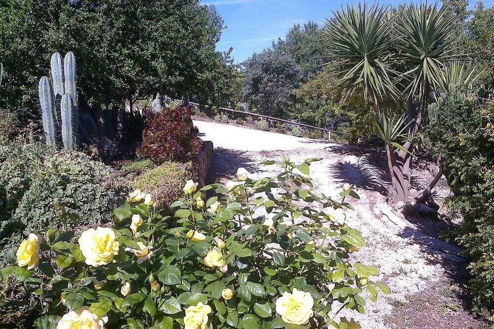 Foto 7 von 30: Casa Bi Rosario - Quinta Amoreira