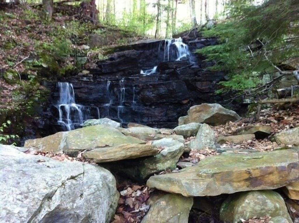 Foto 6 von 39: Gönnen Sie sich einen romantischen Kurzurlaub mit einer Jurte für Paare auf einem 2 Hektar großen Privatgrundstück am Wasser!