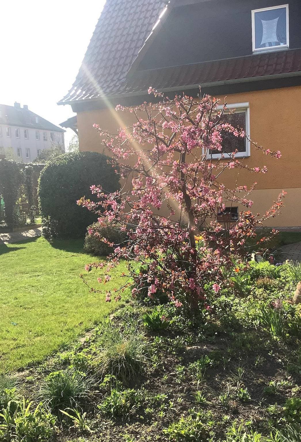 Foto 3 von 19: Kleine gemütliche Ferienwohnung (33qm)