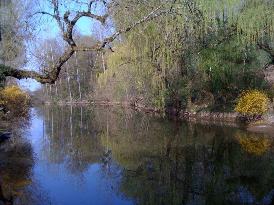 Foto 3 von 7: Moulin de Collanges