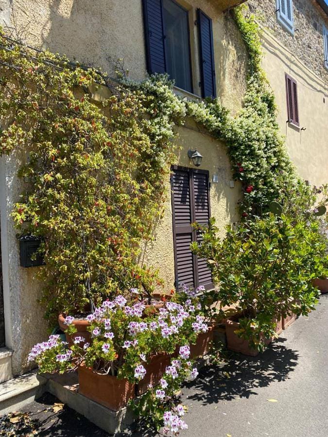 Foto 2 von 58: Holiday Home