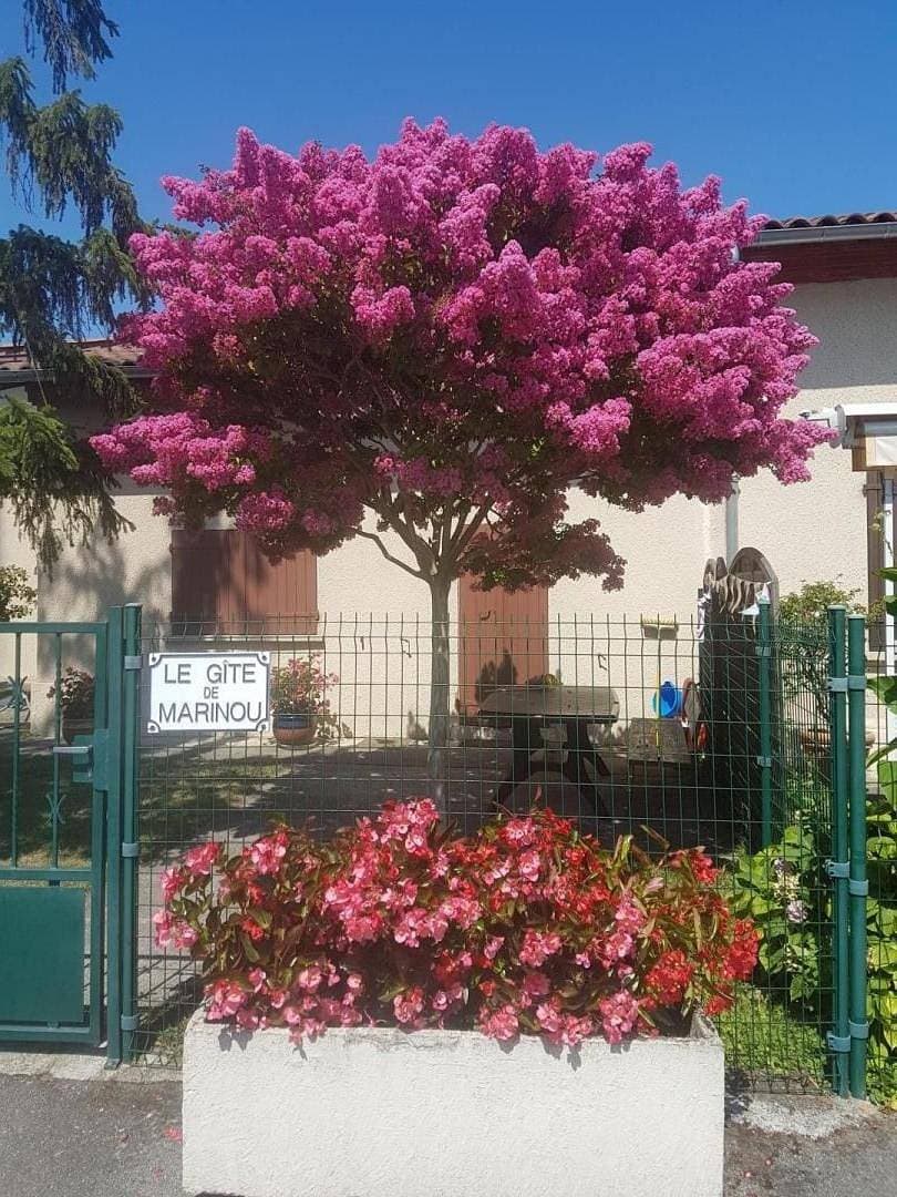 Foto 5 von 29: Le Gîte de Marinou