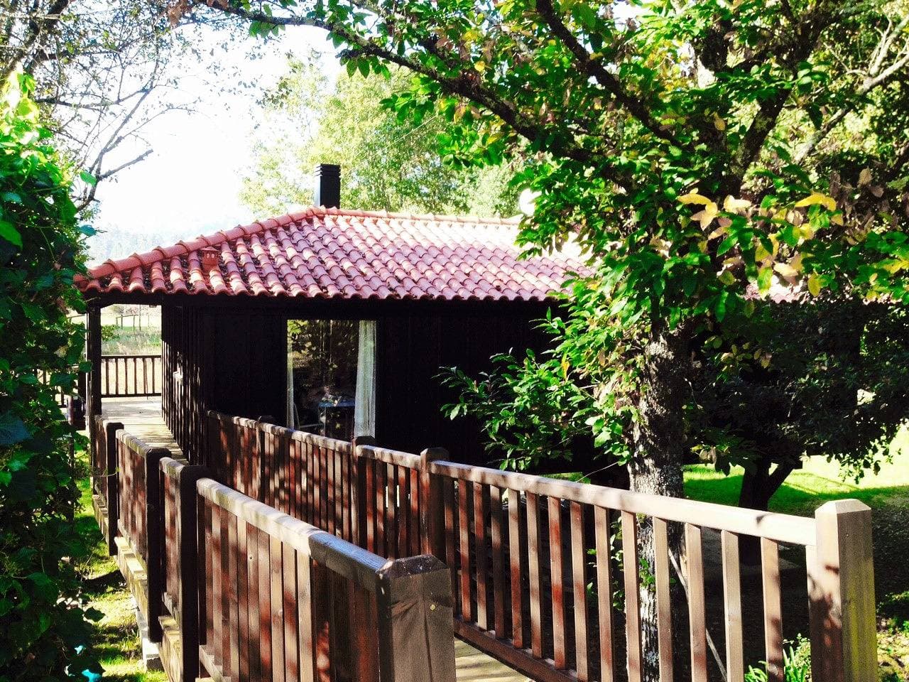 Foto 2 von 23: Baumhaus Quinta Lamosa