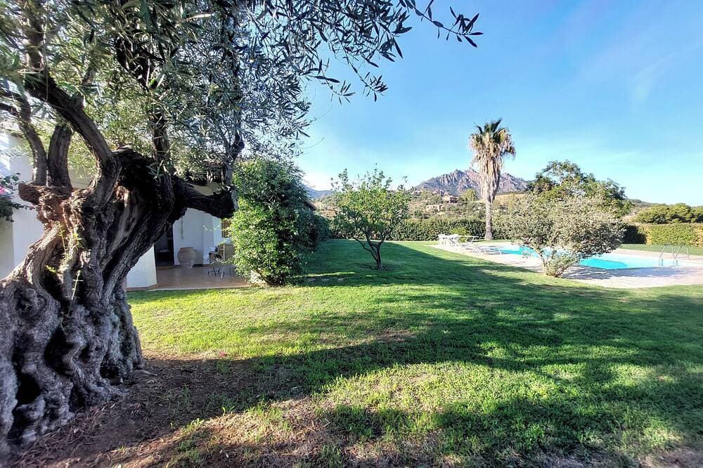 Foto 10 von 30: Luxusvilla mit Pool, Meerblick