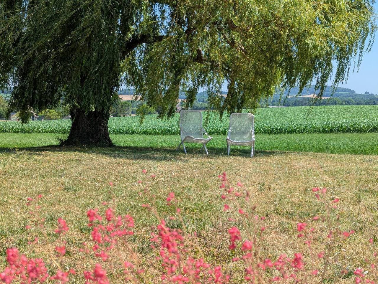 Foto 4 von 40: Le Gîte Charente Périgord