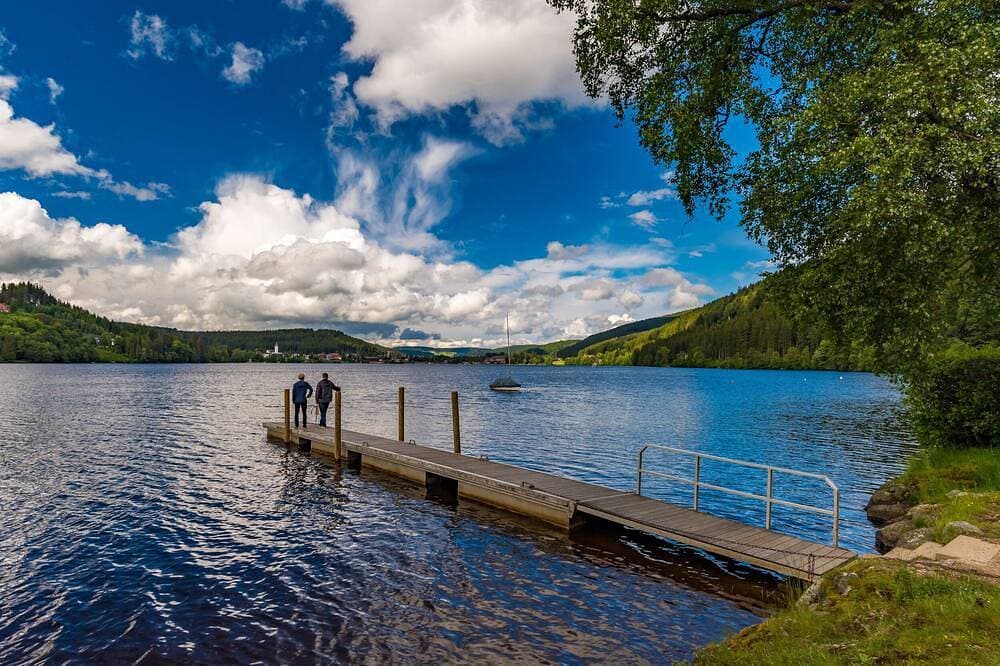Foto 12 von 24: Ferienwohnung/App. für 3 Gäste mit 42m² in Schluchsee