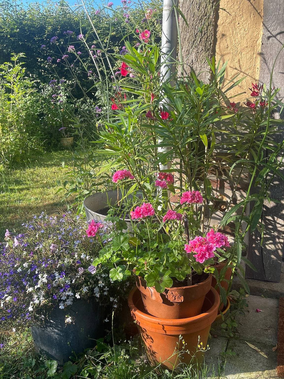 Foto 13 von 23: Ferienhaus 'La Petite Sapience', stimmungsvoll und pur genießen