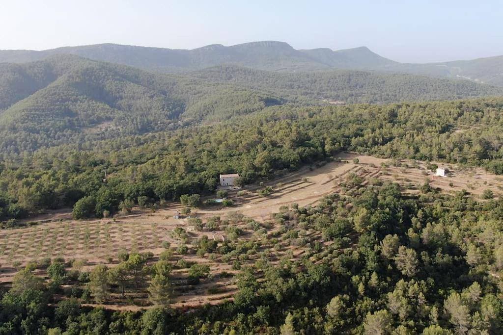 Cabanon Provençal 1