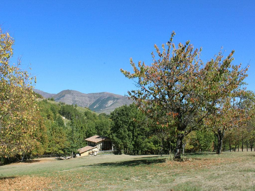 La Bergerie 1