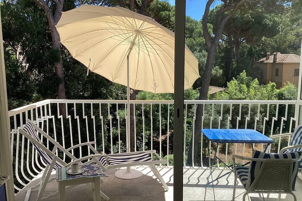 Foto 5 von 6: Studio Dans un Parc Privé à Cavalaire. Calme et Lumineux, Animaux Acceptés