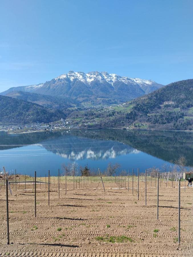 Foto 5 von 13: Double or Twin Room with Lake View