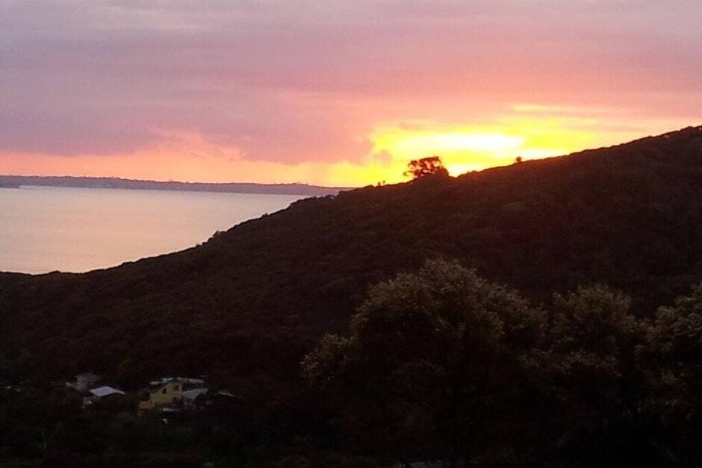 Foto 8 von 15: *** Waiheke Island - Buchen Sie 4 x pro Woche und zahlen Sie nur 2 ***
