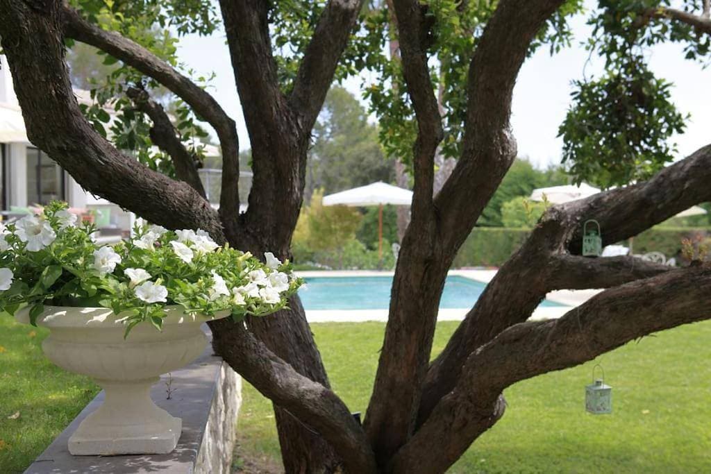 Foto 11 von 37: Villa with Private Pool