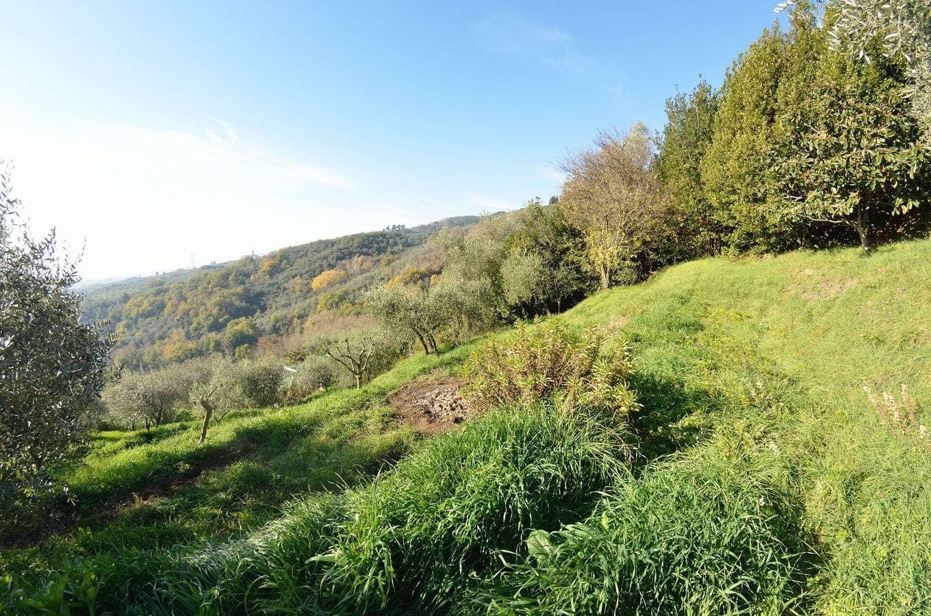 Foto 5 von 27: Bauernhaus für 4 Personen mit Ausblick