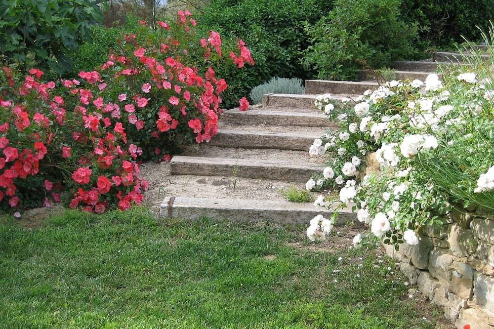 Foto 8 von 23: Pretty Vineyard Cottage On Property 12 Mins From Bandol And Beaches Clim Swimming Pool