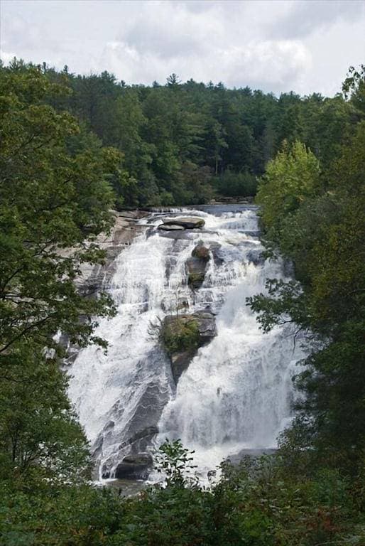 Foto 13 von 42: Gemütliche Berghütte 13 Hektar in der Nähe von Dupont State Forest Wifi