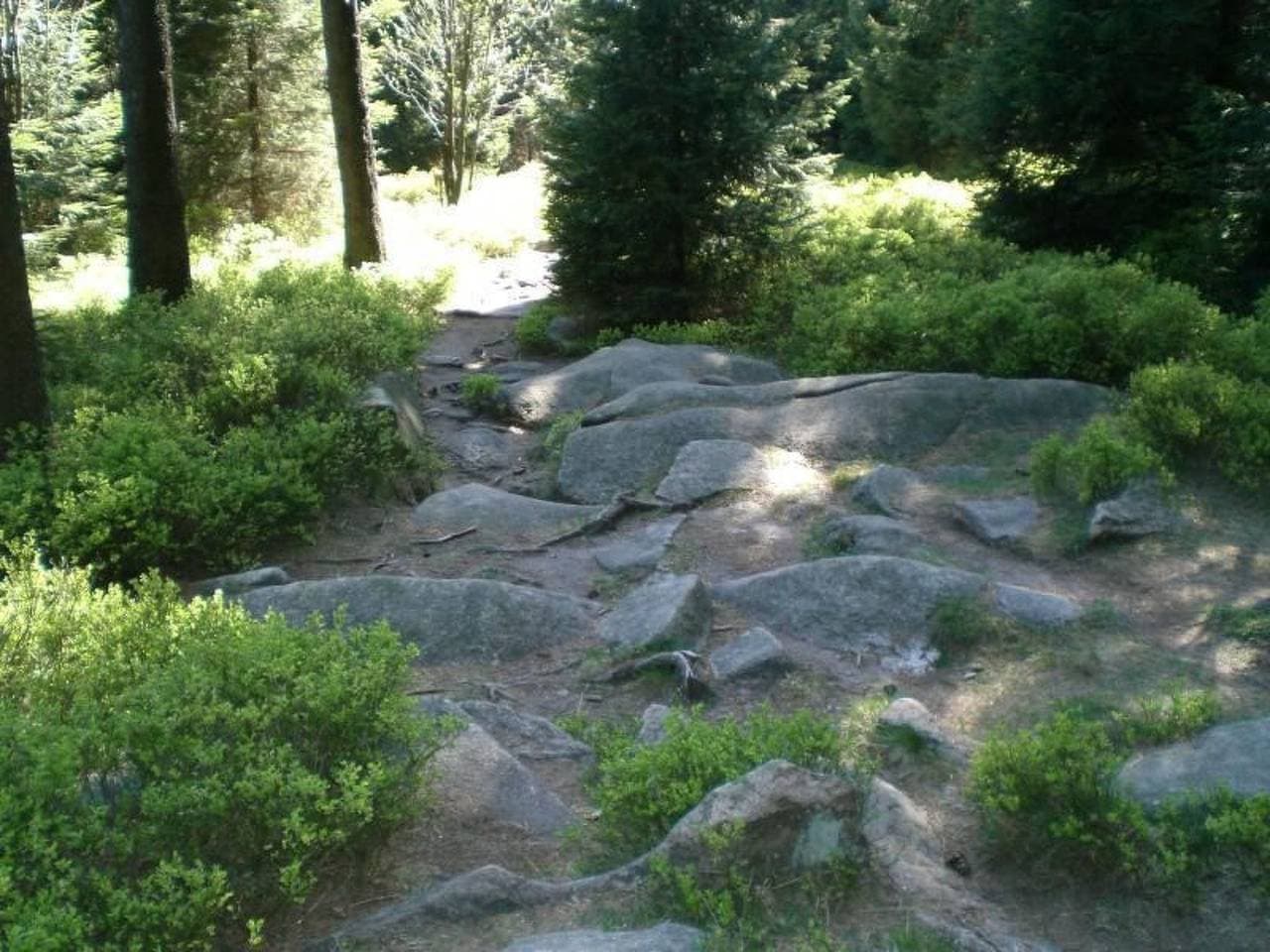 Foto 11 von 34: Drabik