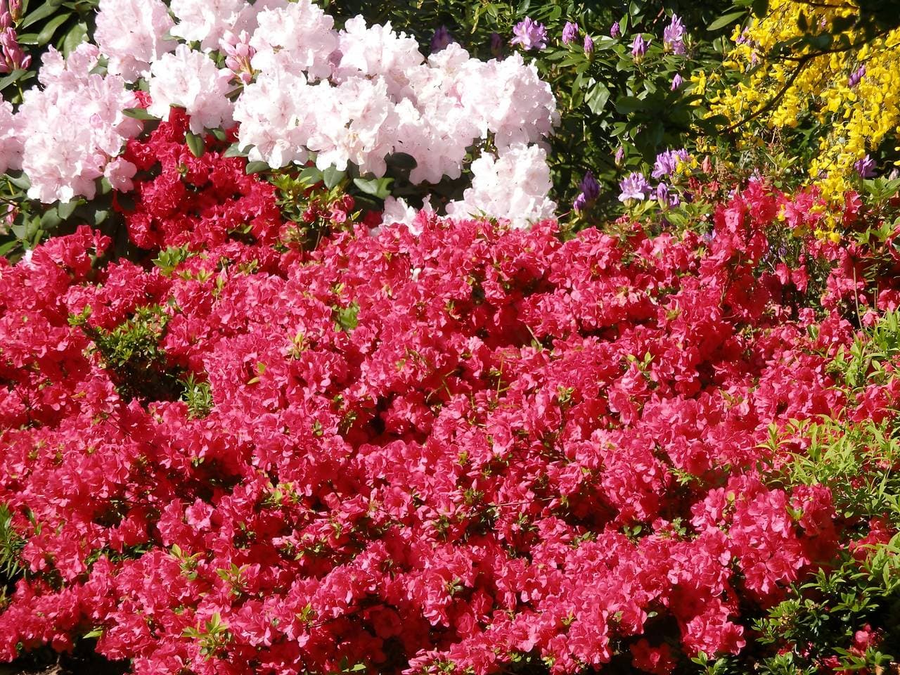 Foto 7 von 23: Privatzimmer 'Les Hortensias'