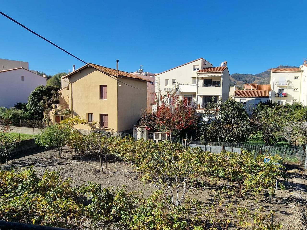 Foto 3 von 32: Renovierte Wohnung in Banyuls-sur-Mer mit Terrasse