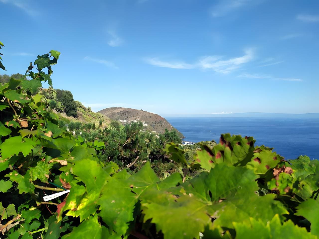 Foto 9 von 18: Apartment in Villa „Panarea“ mit Meerblick, WLAN und Klimaanlage