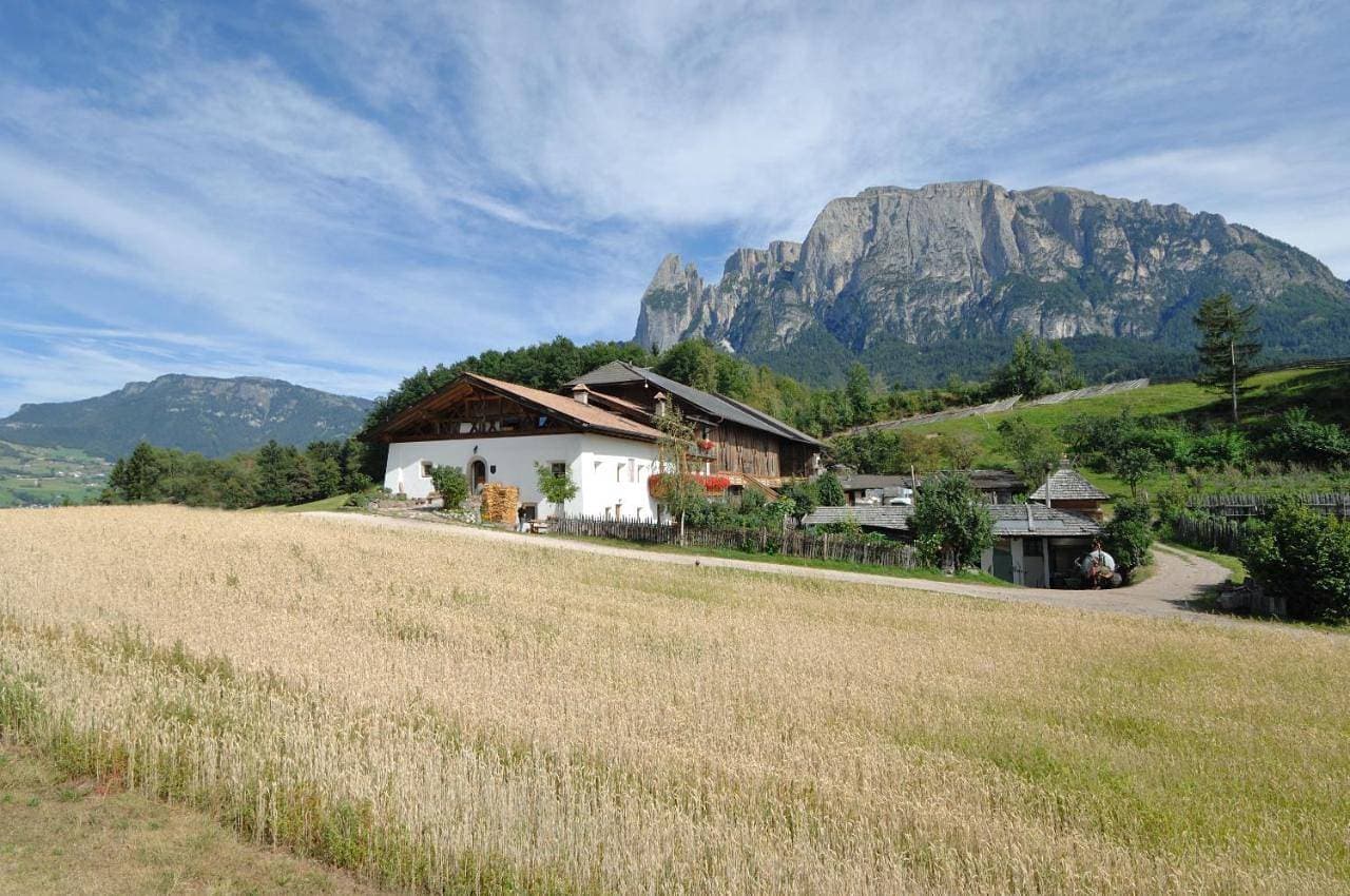 Foto 4 von 23: Apartment with Garden View