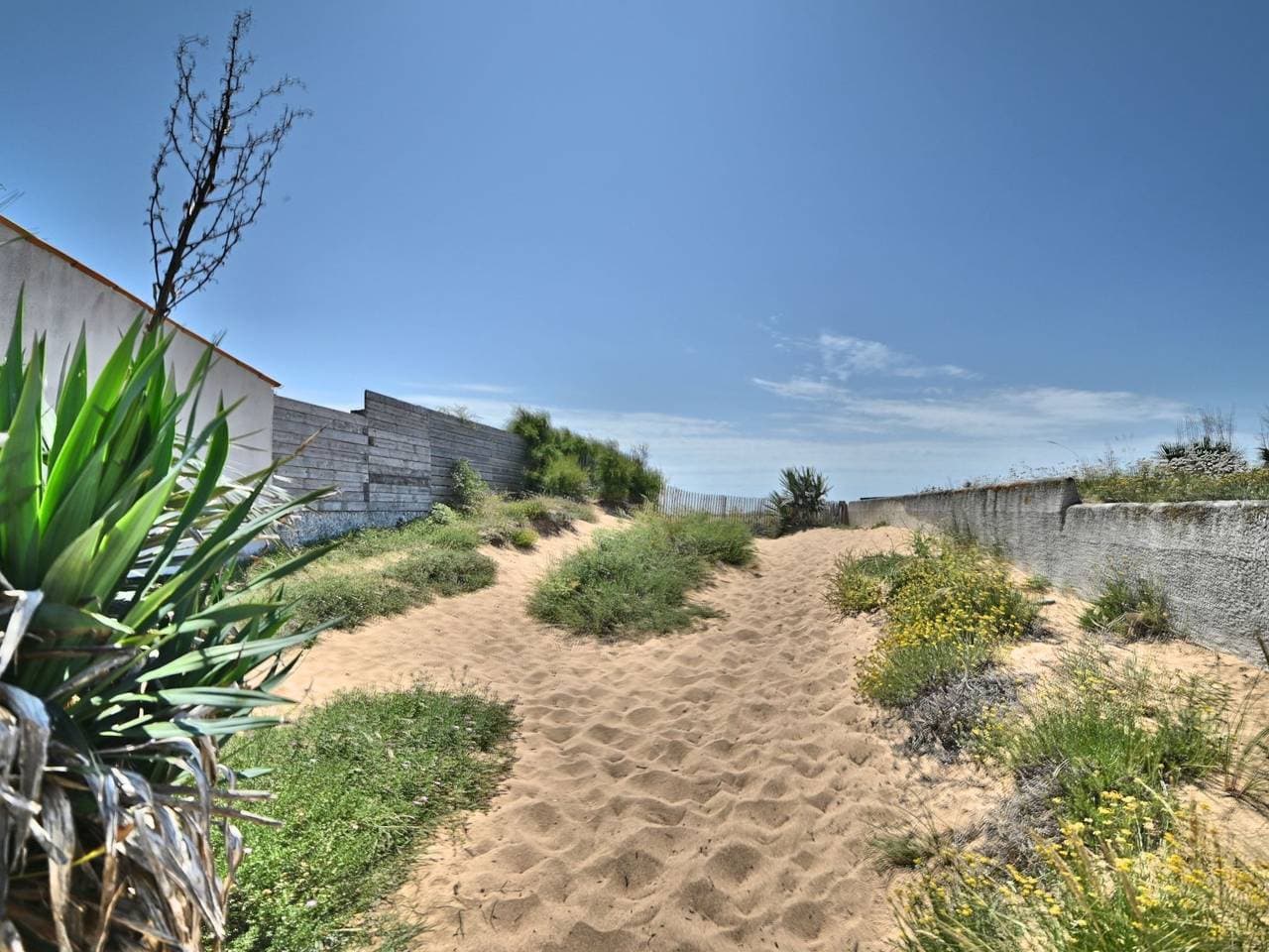 Foto 4 von 46: Horizon 2