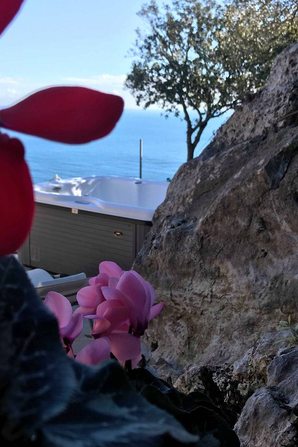 Foto 7 von 22: Orchidea
