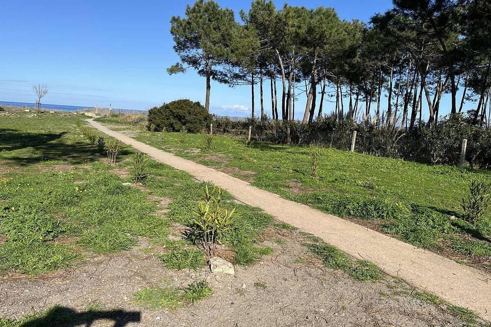 Foto 10 von 15: Duplex climatisé en bord de mer avec terrasse, jardin et parking, à 20m de la plage et commerces à pied