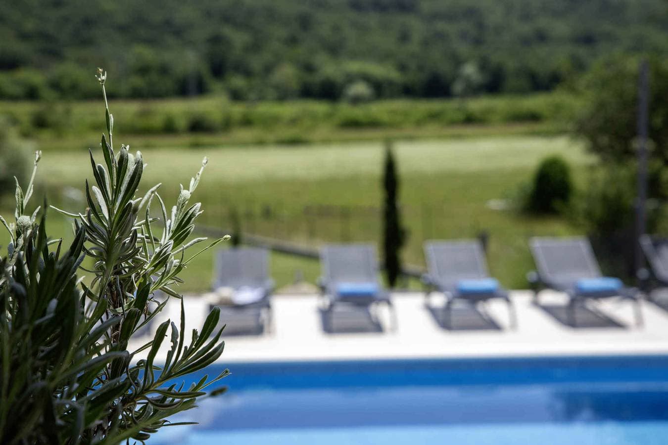 Foto 6 von 44: Villa mit Schwimmbad in einer ruhigen Gegend