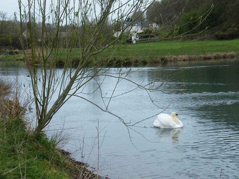 Foto 12 von 16: Gîtes de France® - Les Erables