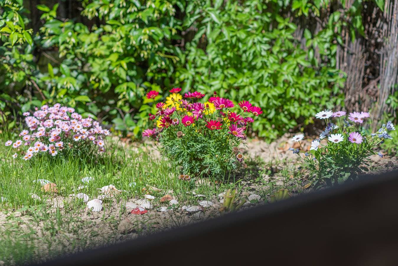 Foto 10 von 13: Villa Popi am Agios Gordios Strand