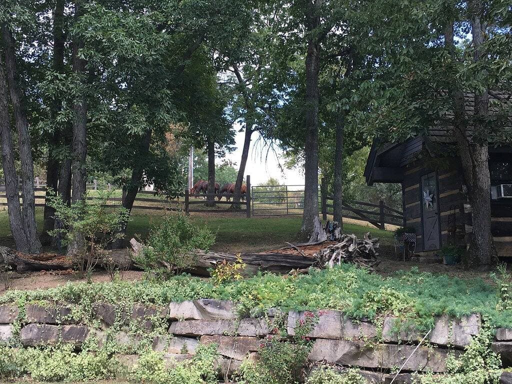 Luxus-Blockhütte und 70 Hektar am Douglas Lake 1