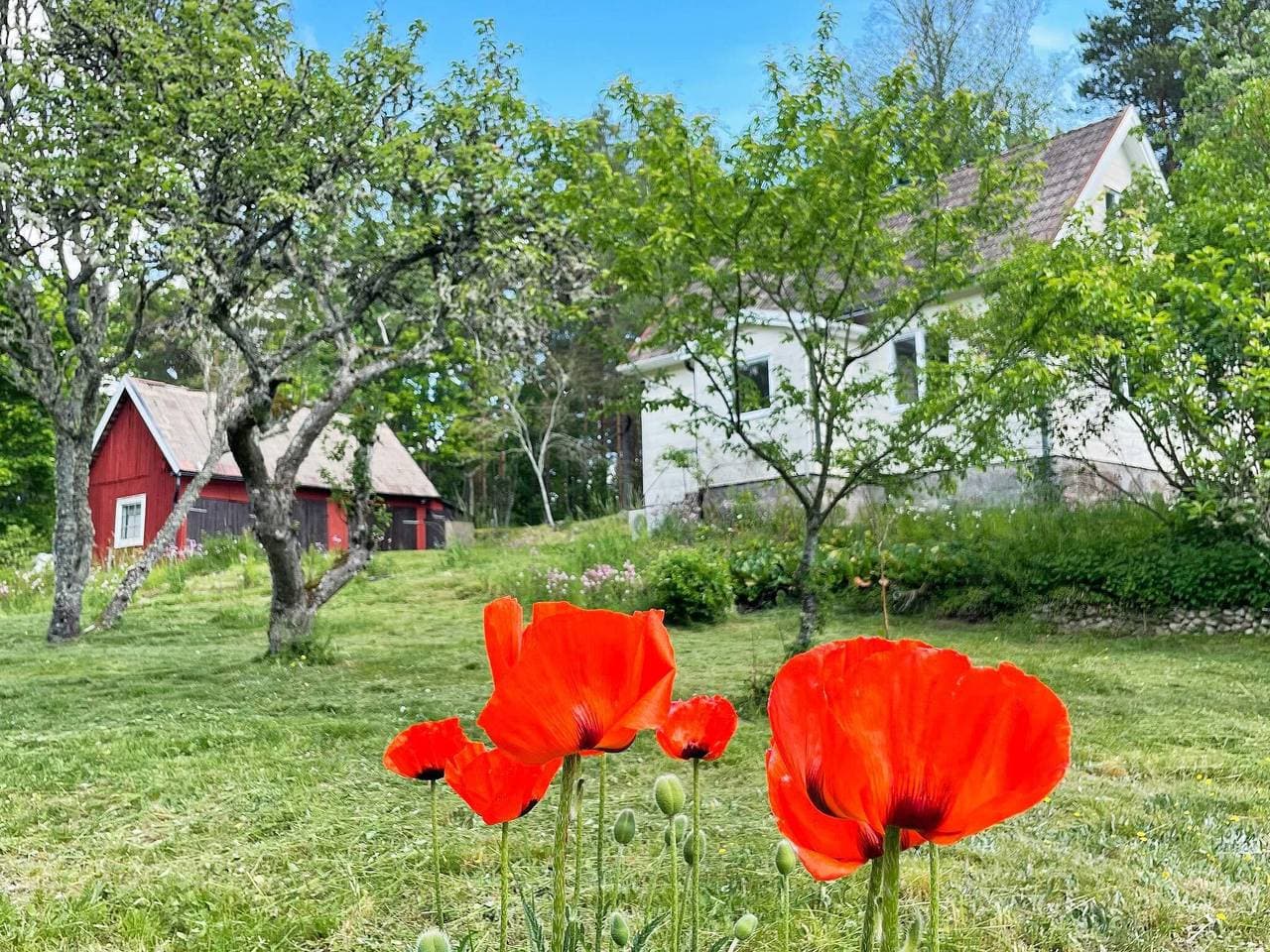 Foto 7 von 27: 4 Personen Ferienhaus in Asarum