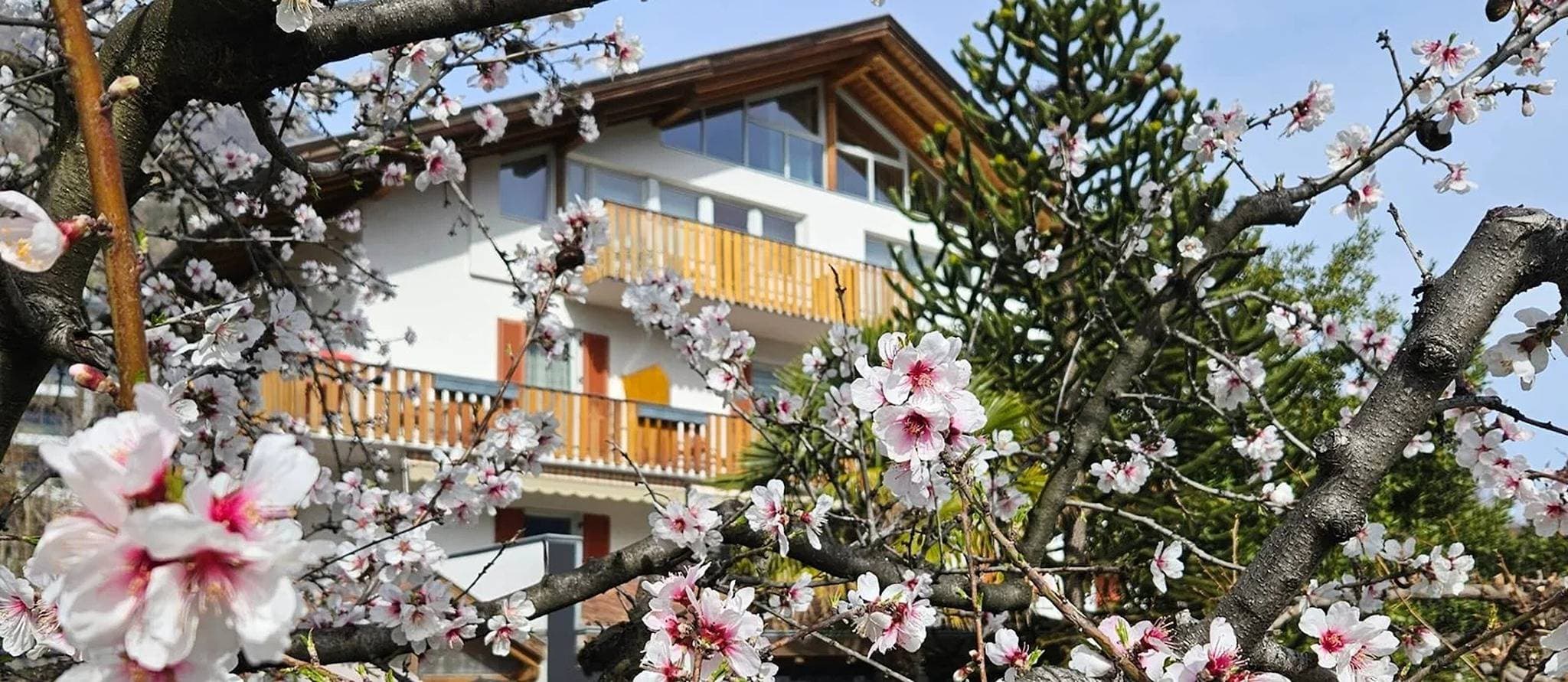 Foto 6 von 14: Apartment „Jack Daniels“ mit Bergblick, Gemeinschaftspool und WLAN