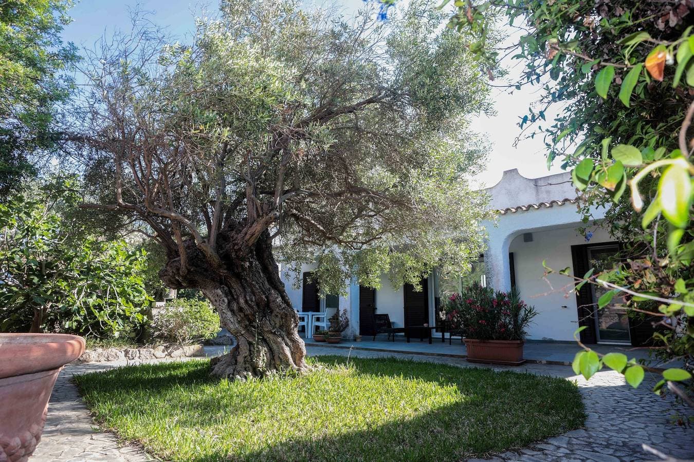 Foto 9 von 31: Luxury Beachfront Villa Kaleidos