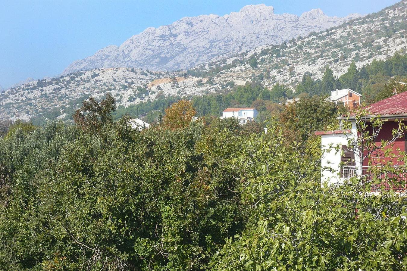 Foto 6 von 15: Ruhiger Pärchenurlaub in Starigrad