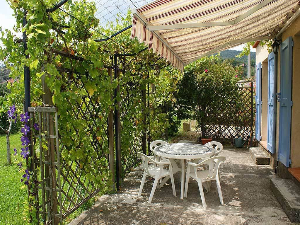La Vigne 1