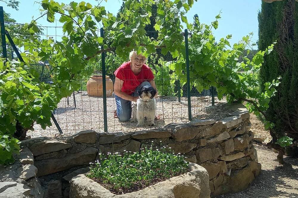 Foto 11 von 25: La Vigneraie - Caunette(La)