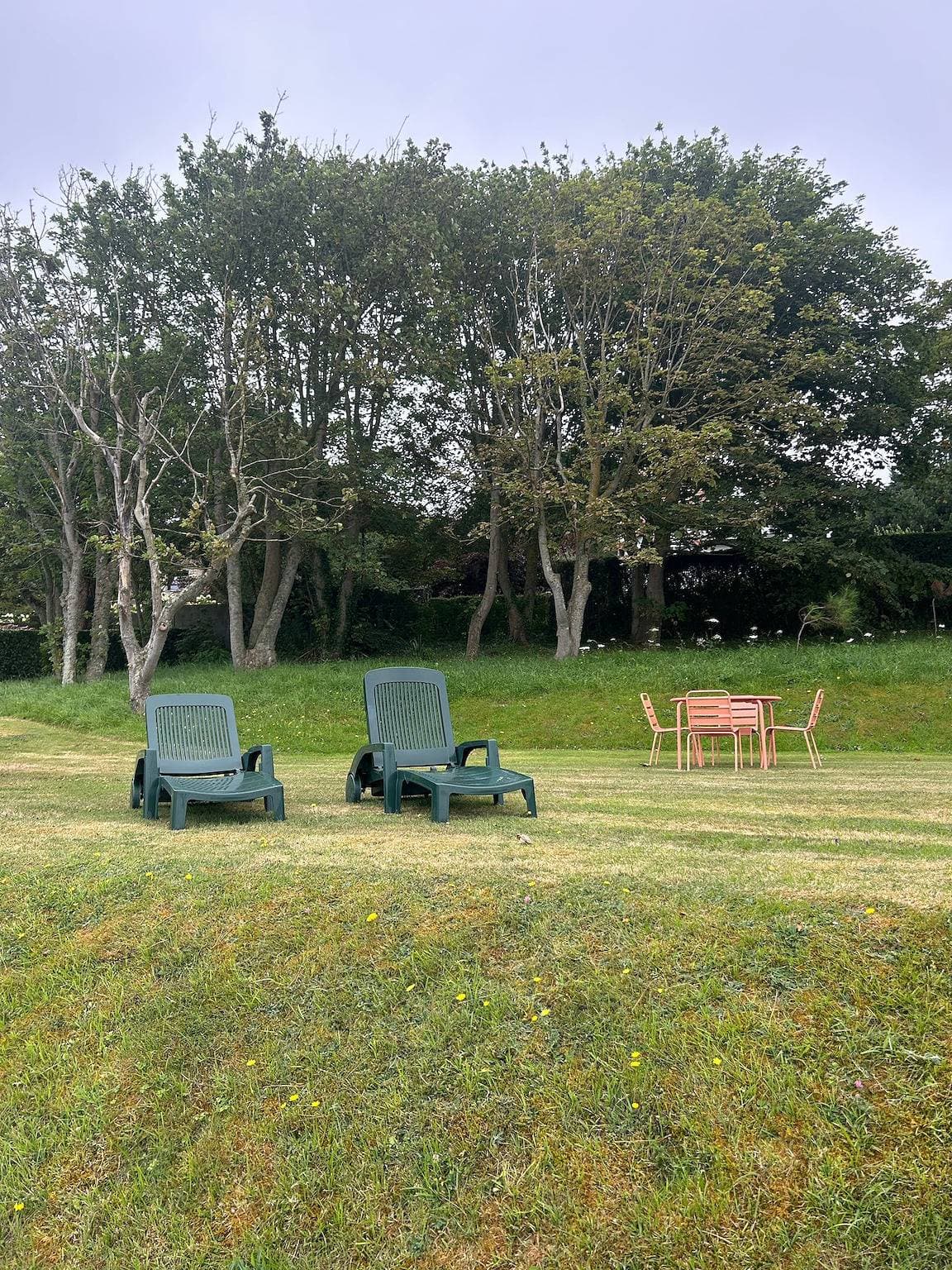 Foto 5 von 34: Nid des falaises