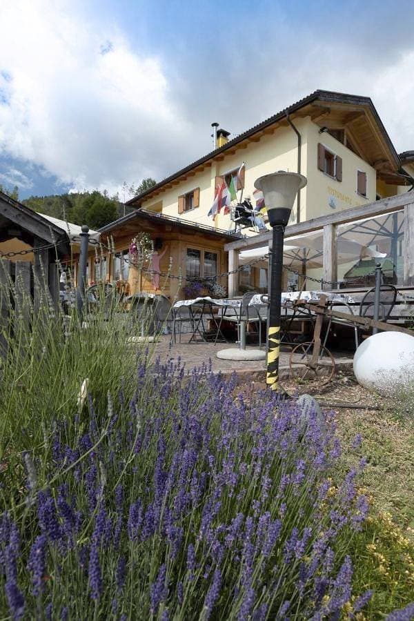 Foto 4 von 10: Double or Twin Room